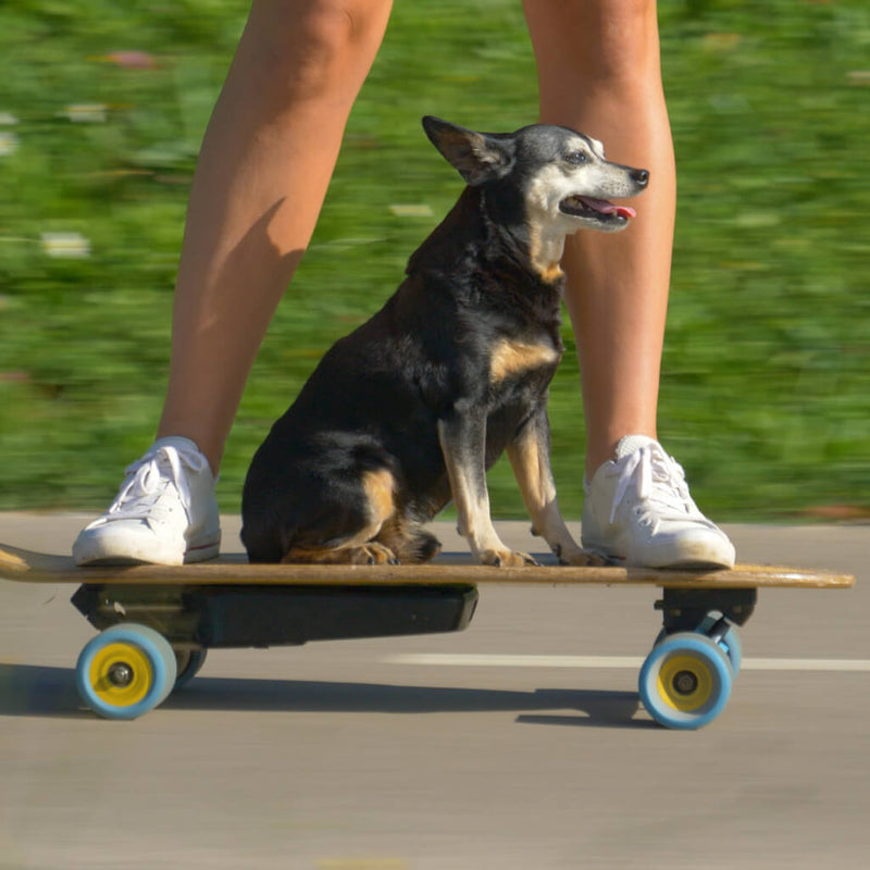 MOBILITY